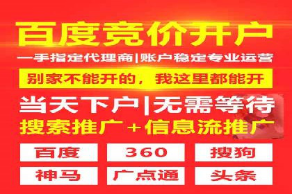 百度SEO推广策略全解析：某企业从零到一的成长历程