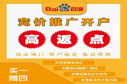 成功运用SEM技术提升网站流量的案例研究