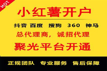 百度竞价代理的运营策略与成功案例分析